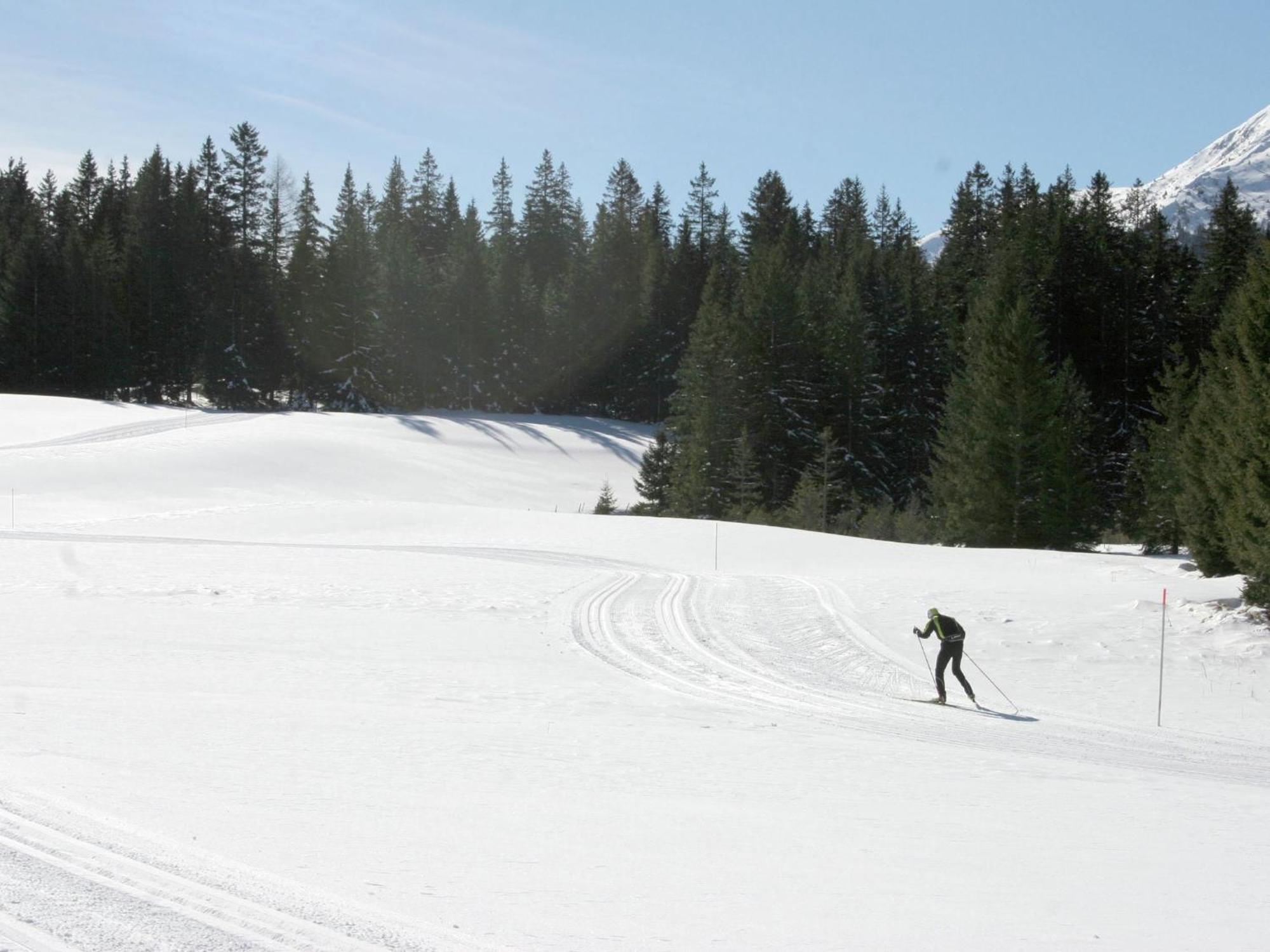 הוילה Nice Chalet In Hohentauern Styria With Sauna מראה חיצוני תמונה