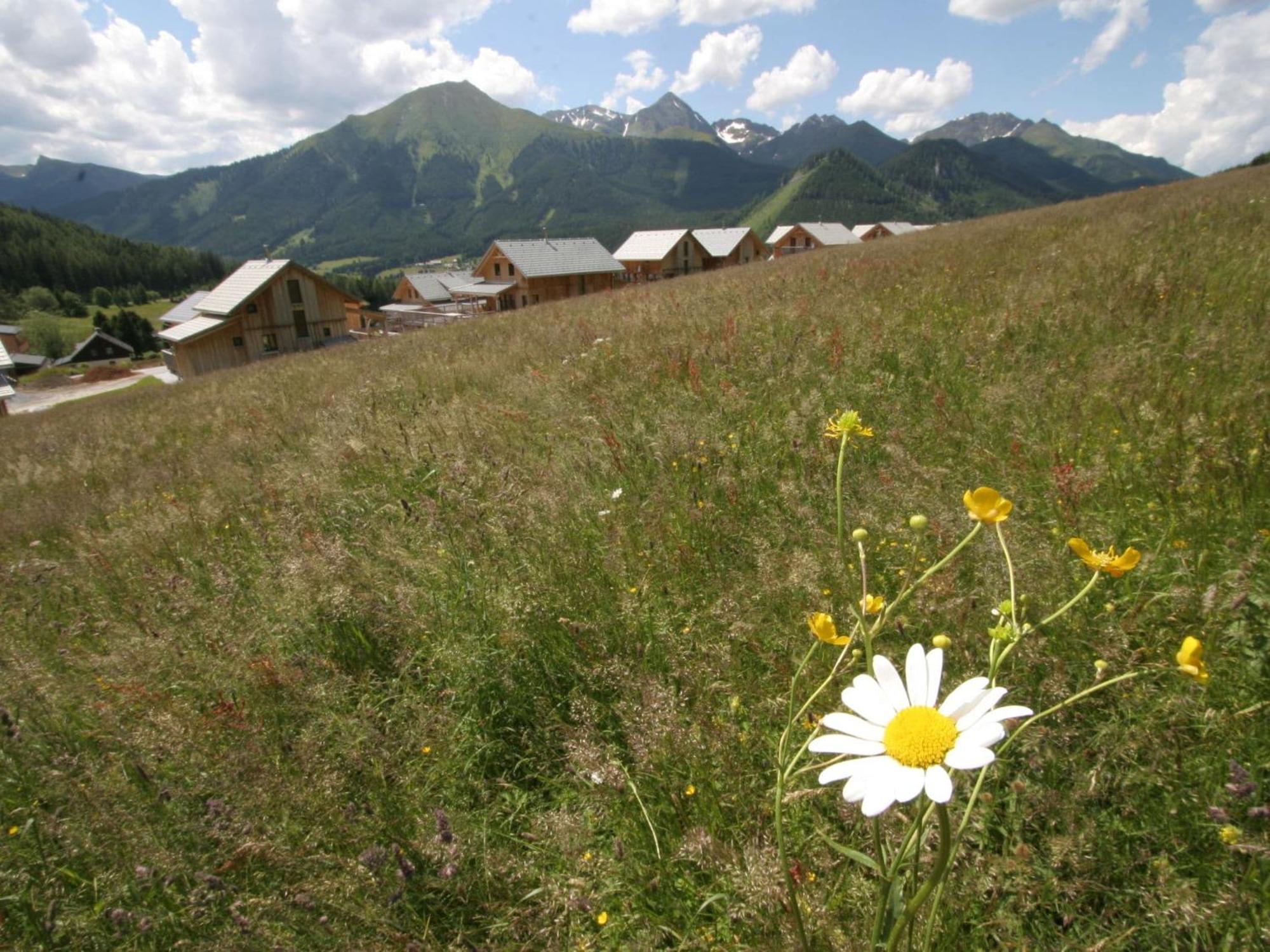 הוילה Nice Chalet In Hohentauern Styria With Sauna מראה חיצוני תמונה